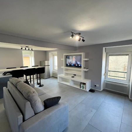 Appartement Familiale Premium : Proche Gare De Belfort Esterno foto