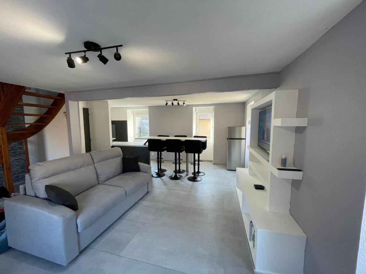 Appartement Familiale Premium : Proche Gare De Belfort Esterno foto